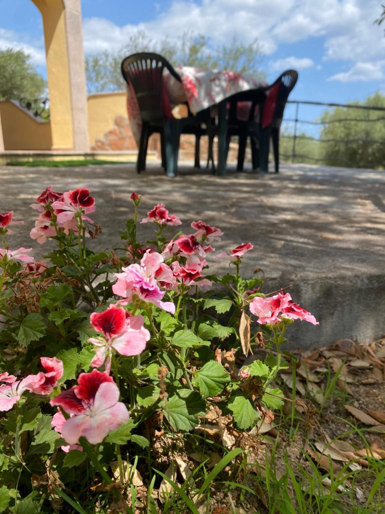 Case Vacanze Villa Rosita * San Teodoro (Sardinia)